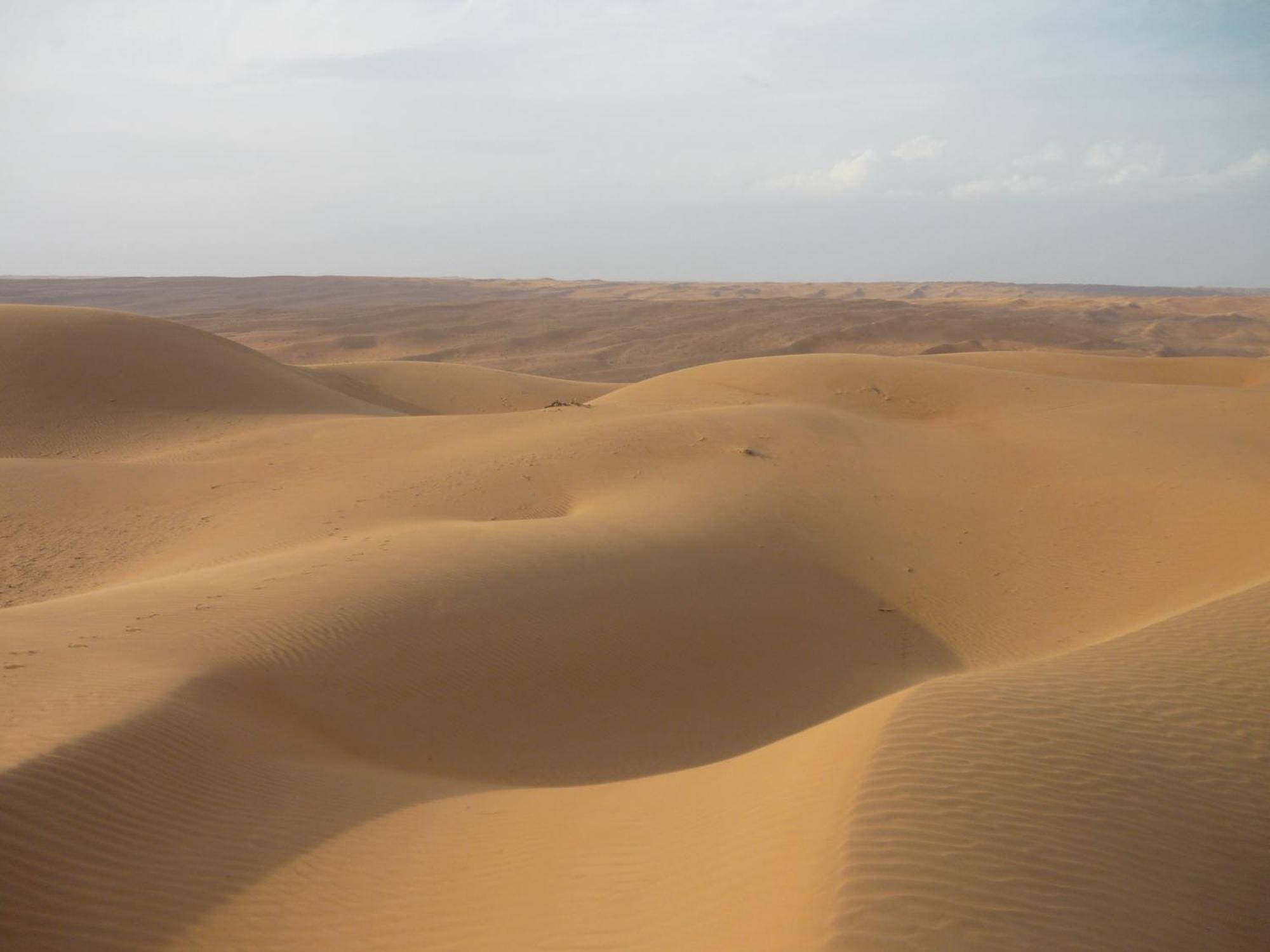 Desert Retreat Camp Al Wāşil Buitenkant foto