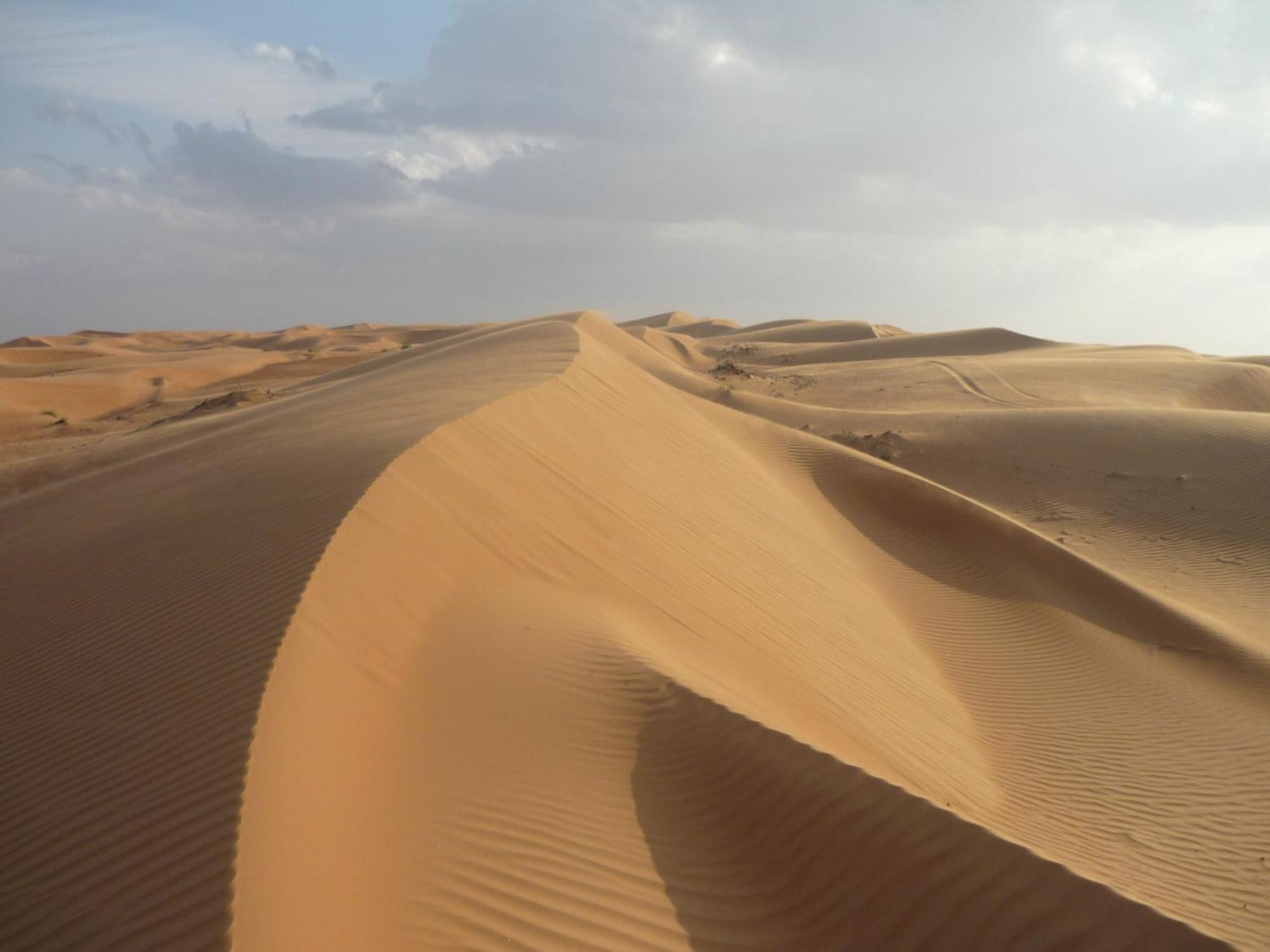 Desert Retreat Camp Al Wāşil Buitenkant foto